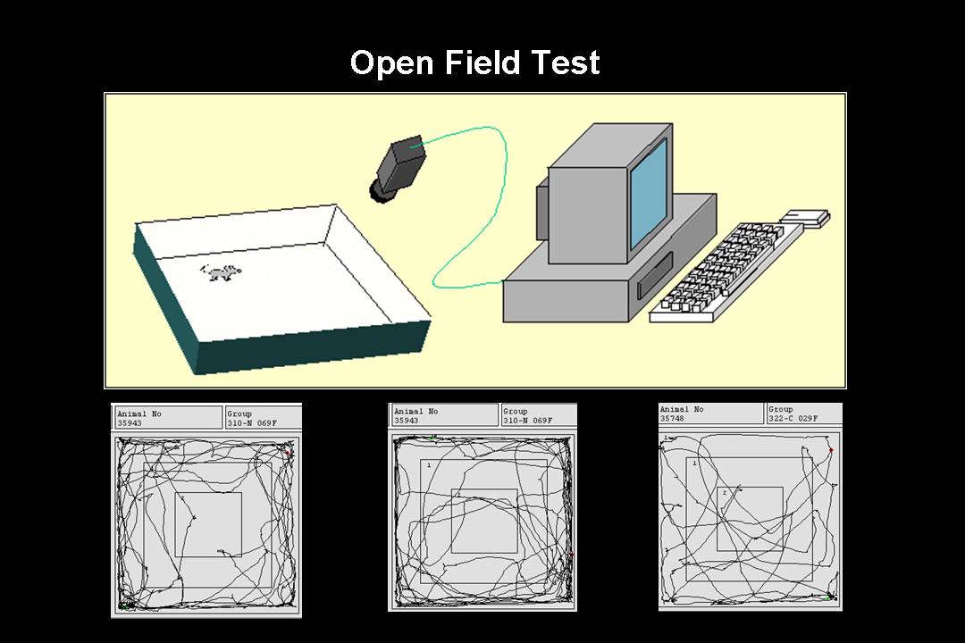 OPEN FIELD TEST MICE EBOOK OPEN FIELD TEST MICE EBOOK